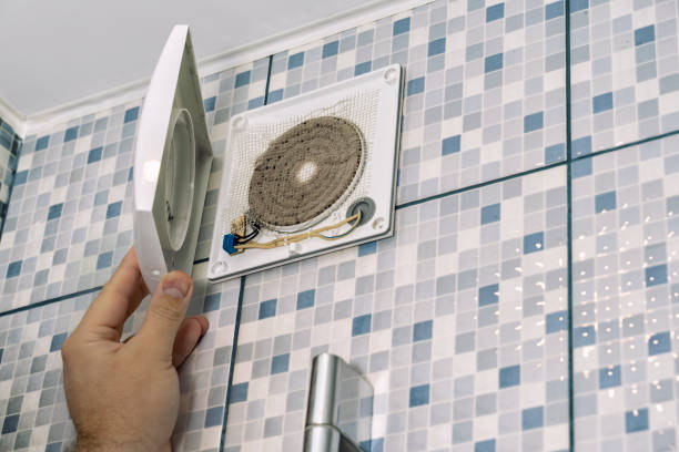 Best Air Duct Sanitizing Services  in Temperance, MI