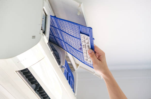 Best Air Duct Cleaning Near Me  in Temperance, MI